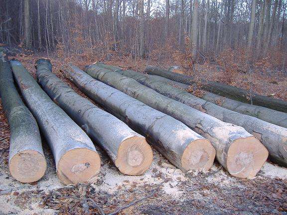 實(shí)木衣架材質(zhì)