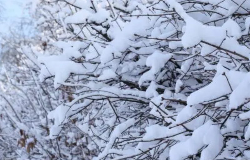 2021年的冬天是暖冬還是冷冬--暖冬寒冬原因