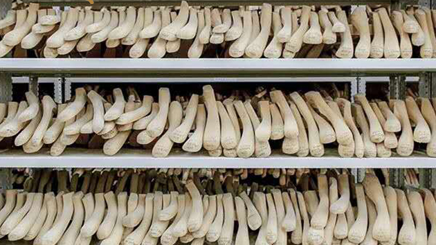 實(shí)木衣架哪個(gè)牌子好