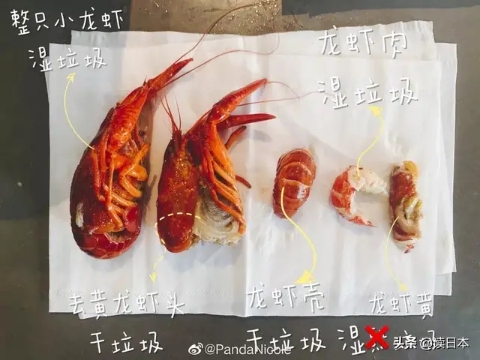 實(shí)木衣架品牌 (2)